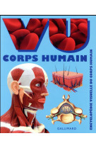 Vu corps humain