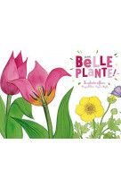 Une belle plante