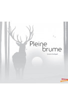 Pleine brume