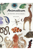 Animalium - 28 posters detachables