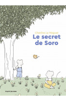 Le secret de soro