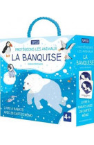 Protégeons les animaux. la banquise