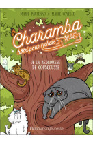 Charamba, hotel pour chats - a la rescousse de couscousse
