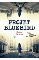 Projet bluebird