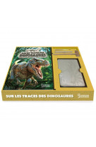 Sur les traces des dinosaures