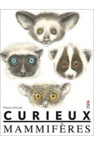 Curieux mammiferes