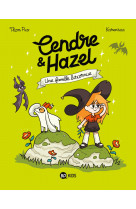 Cendre et hazel, tome 04