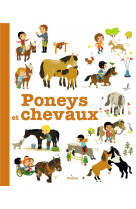 Poneys et chevaux