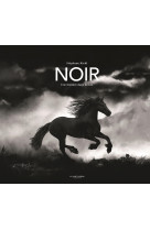 Noir