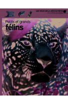 Petits et grands félins