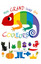 Mon grand livre des couleurs