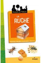 La ruche