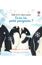 Es-tu là, petit pingouin ? - mon petit cache-cache