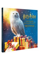 Calendrier de l'avent hedwige harry potter