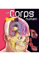 Le corps humain