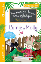 Mes premieres lectures 100 % syllabiques l'amie de molly