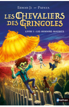 Les chevaliers des gringoles - tome 01 : les menhirs maudits