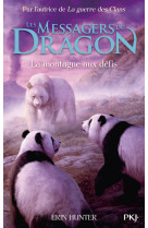 Les messagers du dragon, cycle 1 - tome 3 la montagne aux défis