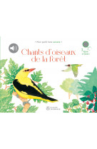 Chants d'oiseaux de la forêt