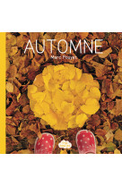 Ptit land art - automne