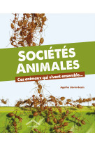 Sociétés animales 