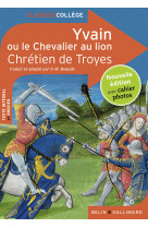 Yvain ou le chevalier au lion