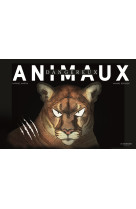 Animaux dangereux