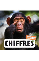 Chiffres