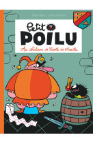 Petit poilu - tome 13 - au château de crotte de maille