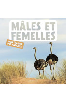 Mâles et femelles