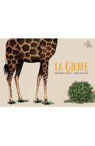 La girafe