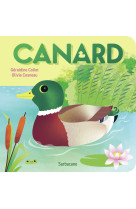 Canard