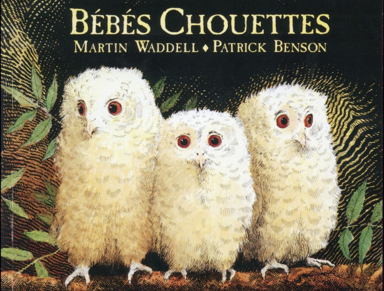 BEBES CHOUETTES - WADDELL/BENSON - EDL