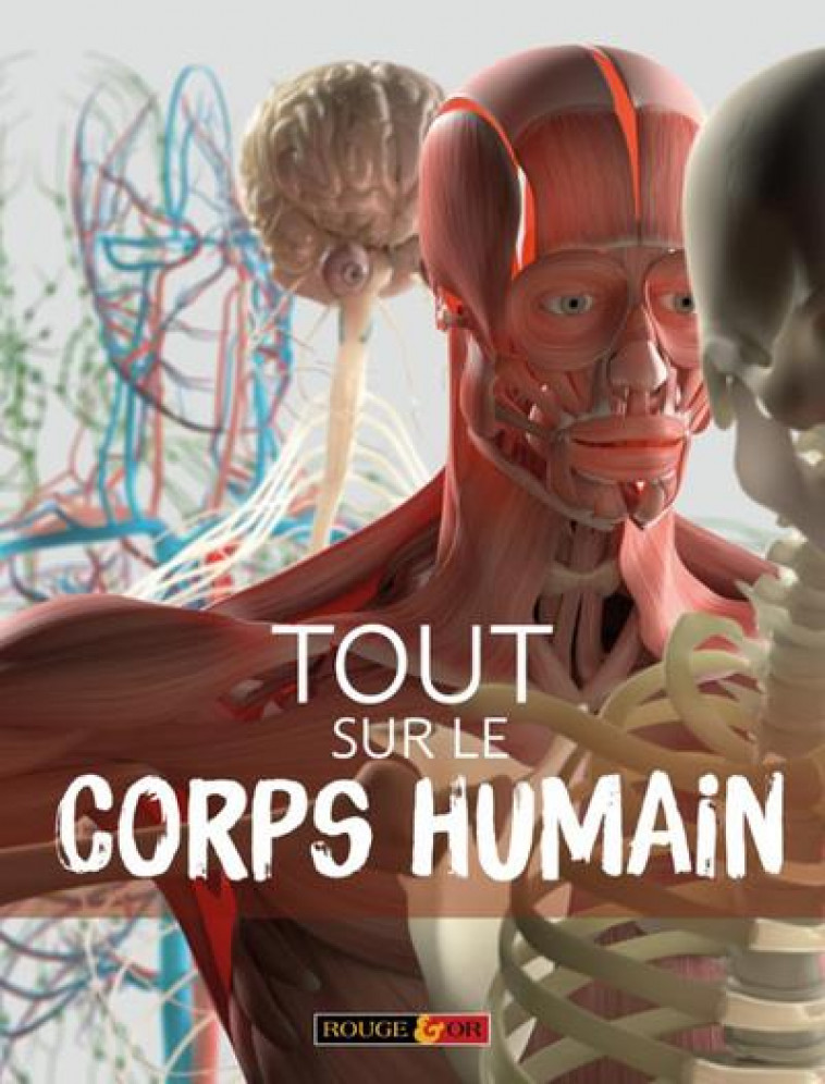TOUT SUR LE CORPS HUMAIN - COLLECTIF - AN HERE