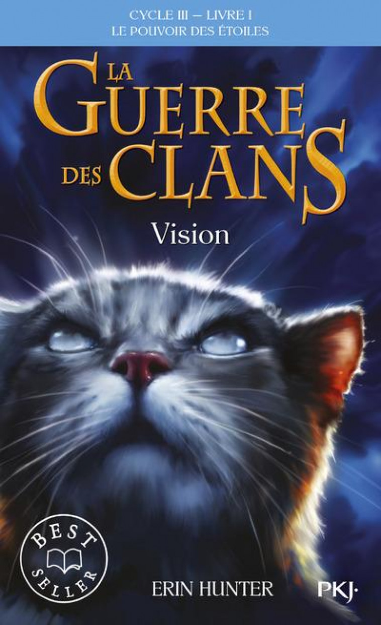 LA GUERRE DES CLANS CYCLE III LE POUVOIR DES ETOILES - TOME 1 VISION - VOL01 - HUNTER ERIN - POCKET