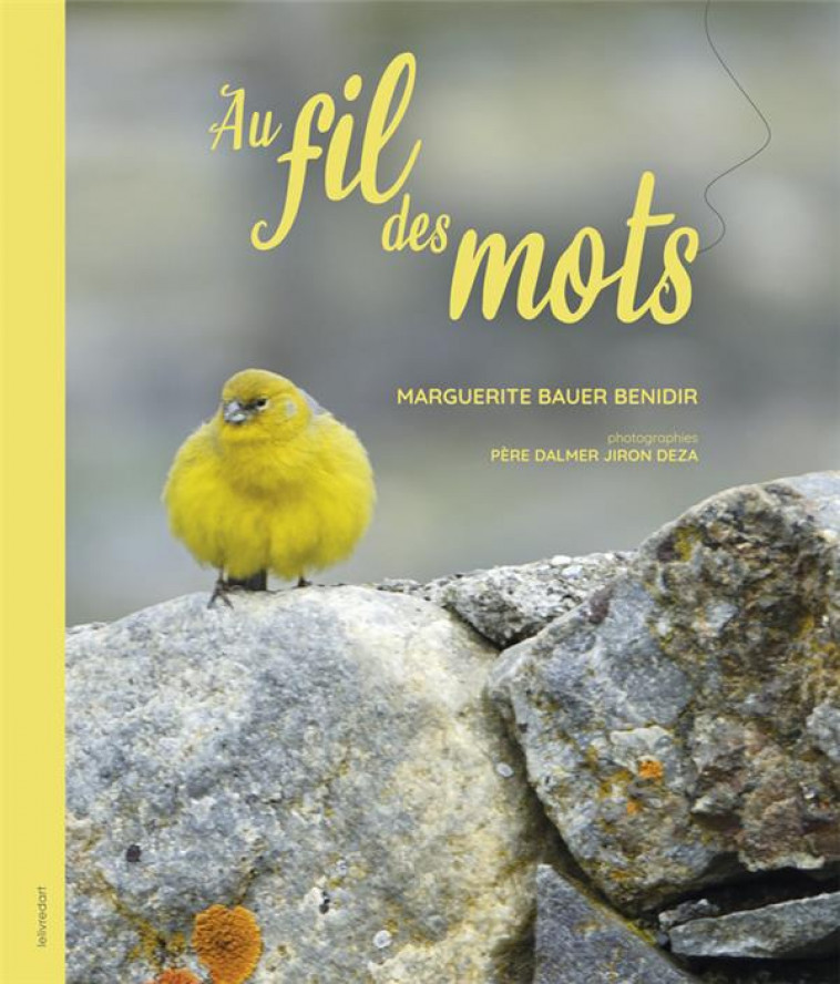 AU FIL DES MOTS - BENIDIR MARGUERITE - LELIVREDART