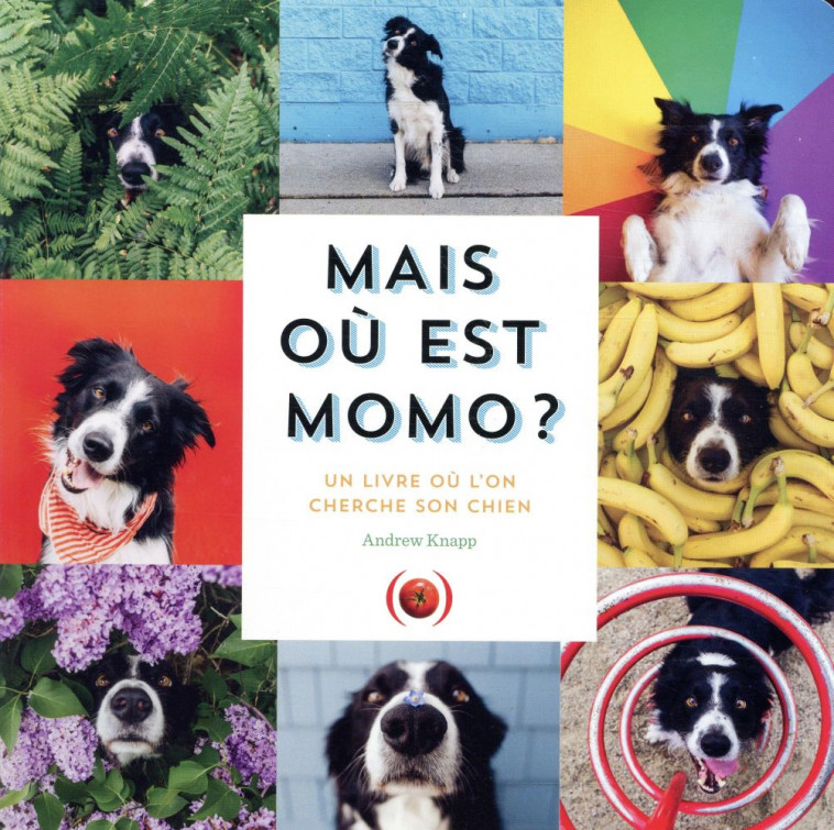 MAIS OU EST MOMO ? - UN LIVRE OU L-ON CHERCHE SON CHIEN - KNAPP ANDREW - GRANDES PERSONN