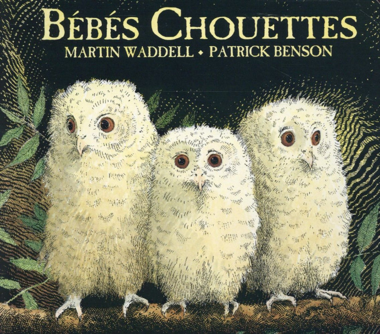 BEBES CHOUETTES (TOUT CARTON) - WADELL/BENSON - Kaléidoscope