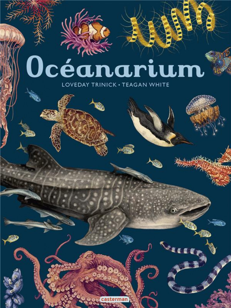 OCEANARIUM - LOVEDAY/WHITE - CASTERMAN