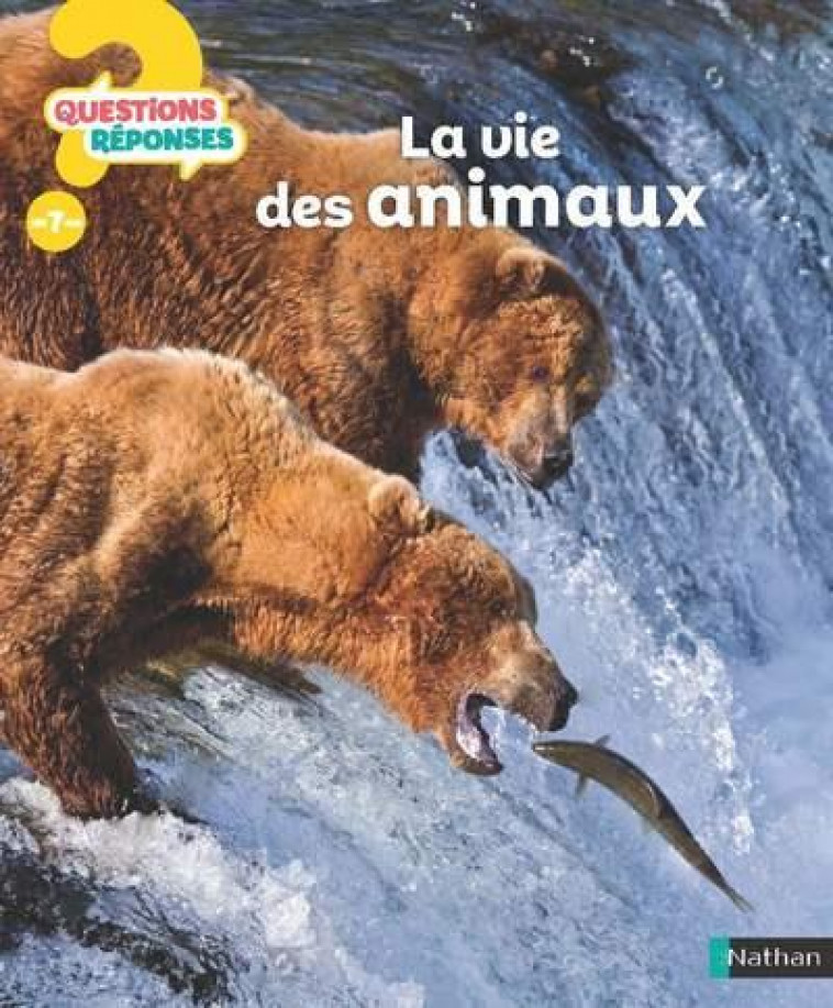 LA VIE DES ANIMAUX - WEBER BELINDA - CLE INTERNAT