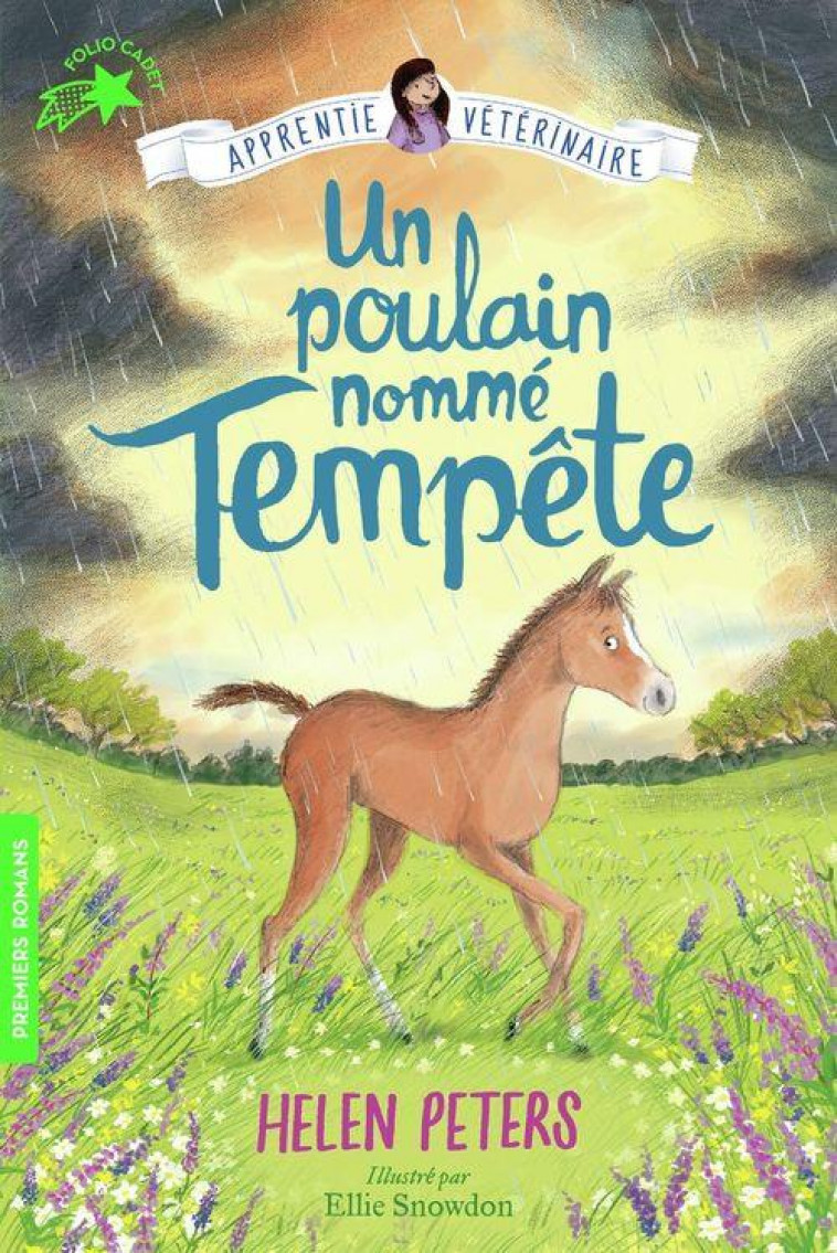 JASMINE, L-APPRENTIE VETERINAIRE - T09 - UN POULAIN NOMME TEMPETE - PETERS/SNOWDON - GALLIMARD