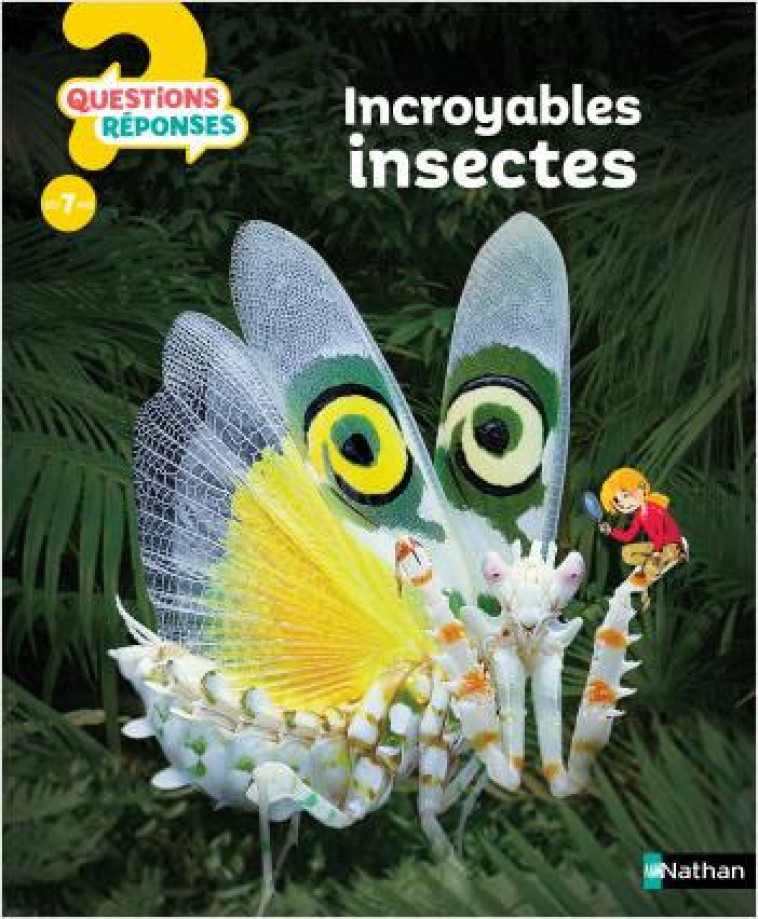 INCROYABLES INSECTES - O-NEILL/DUQUET - CLE INTERNAT