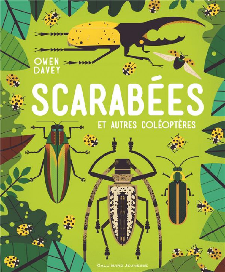 SCARABEES ET AUTRES COLEOPTERES - DAVEY, OWEN - NC