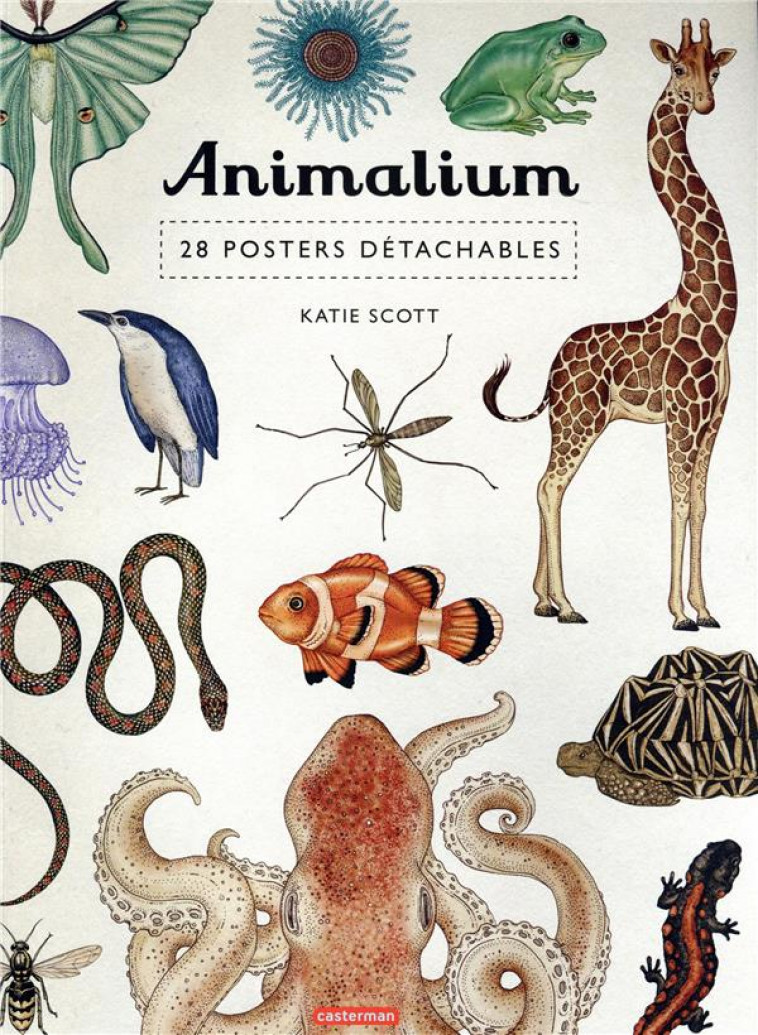 ANIMALIUM - 28 POSTERS DETACHABLES - SCOTT - NC