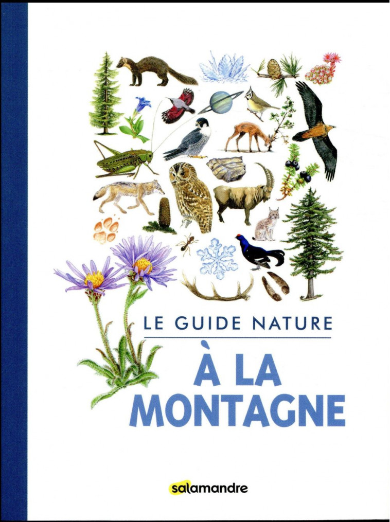 GUIDE NATURE - A LA MONTAGNE - COLLECTIF - La Salamandre