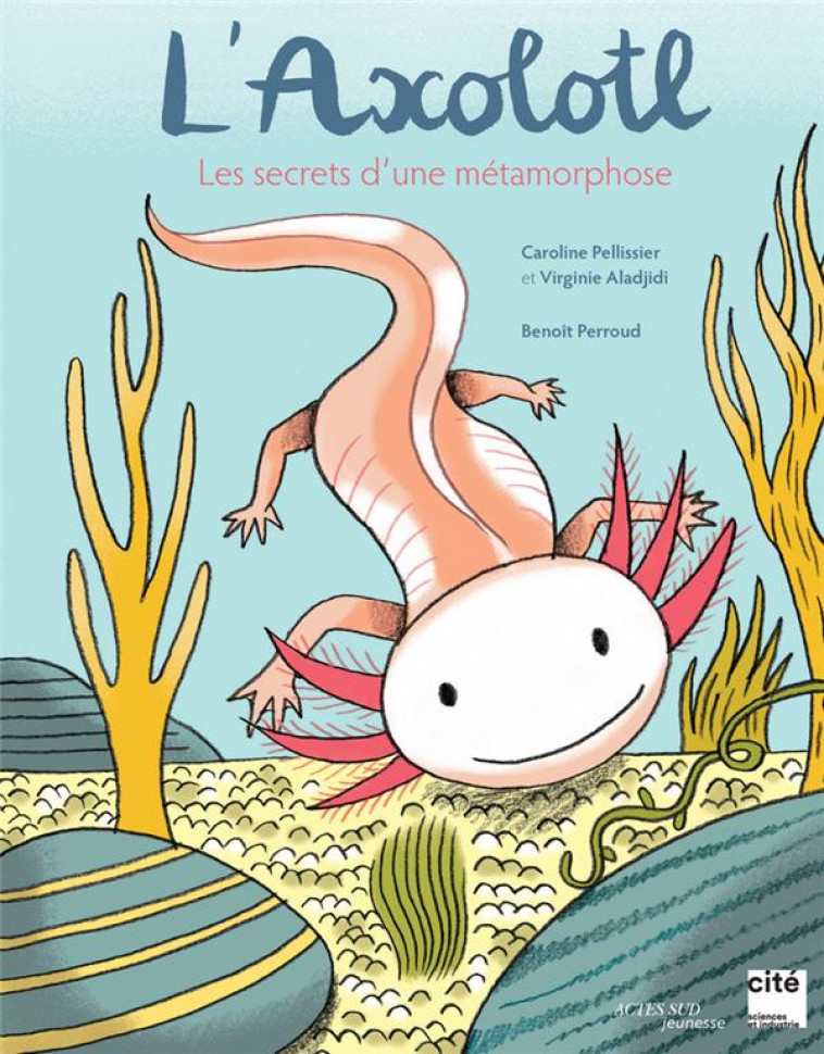 L-AXOLOTL, LES SECRETS D-UNE METAMORPHOSE - PELLISSIER/ALADJIDI - ACTES SUD