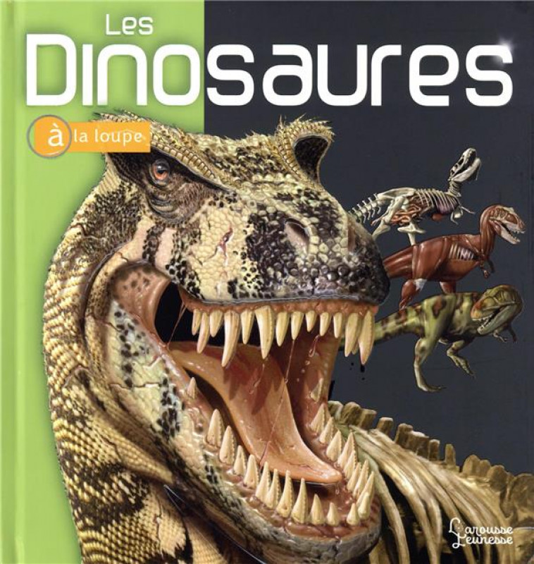 LES DINOSAURES - LONG JOHN - LAROUSSE