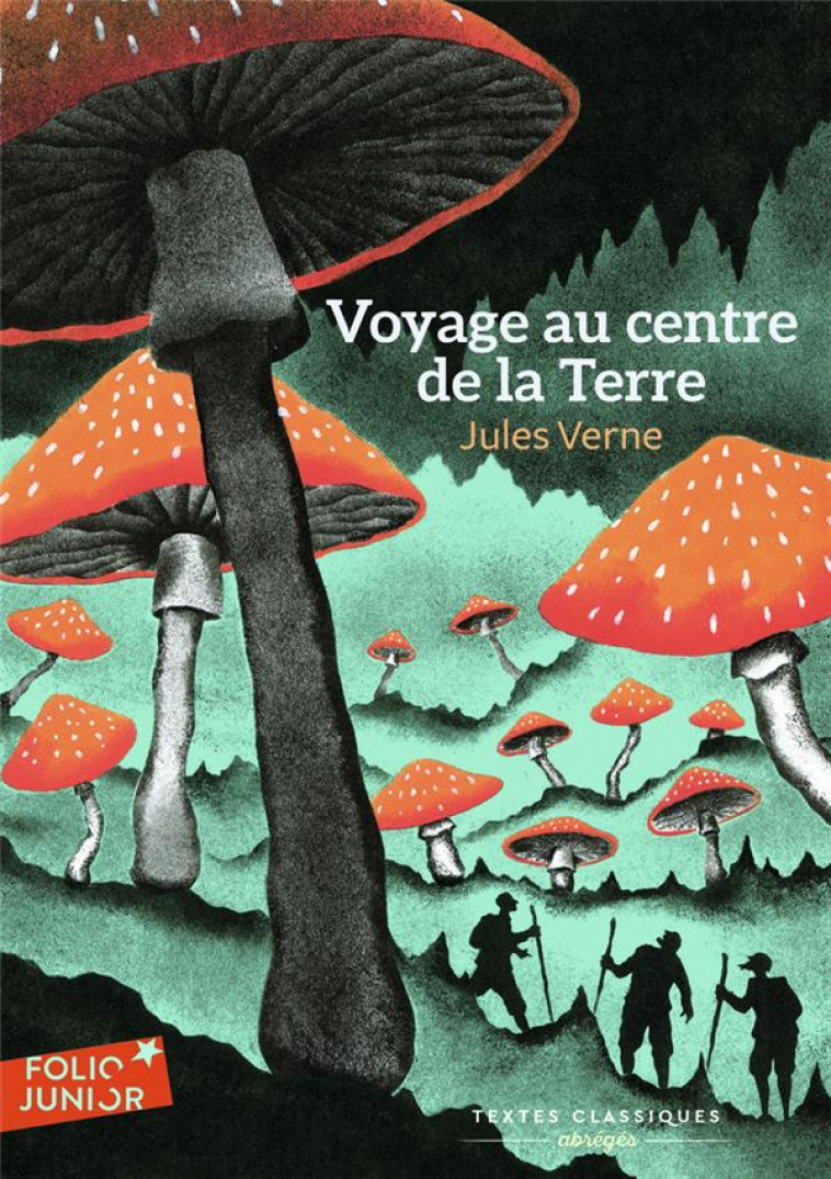 VOYAGE AU CENTRE DE LA TERRE - VERNE/RIOU - GALLIMARD