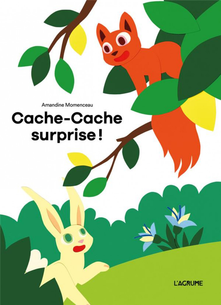 CACHE-CACHE SURPRISE ! - MOMENCEAU - DU LUMIGNON