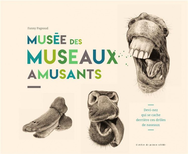 MUSEE DES MUSEAUX AMUSANTS - PAGEAUD FANNY - POISSON SOLUBLE